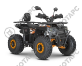 Квадроцикл ATV Dazzle 125 C1