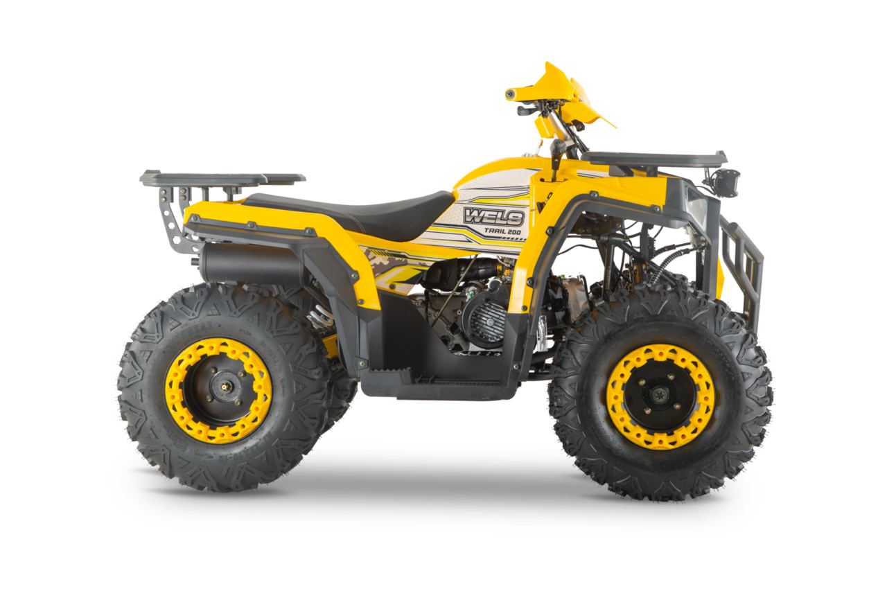 Квадроцикл WELS Thunder Trail 200