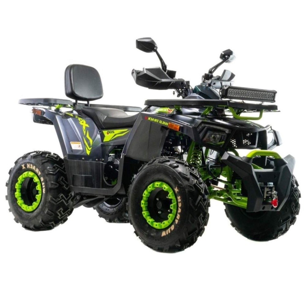 Квадроцикл MOTOLAND Wild Track X WINCH 200