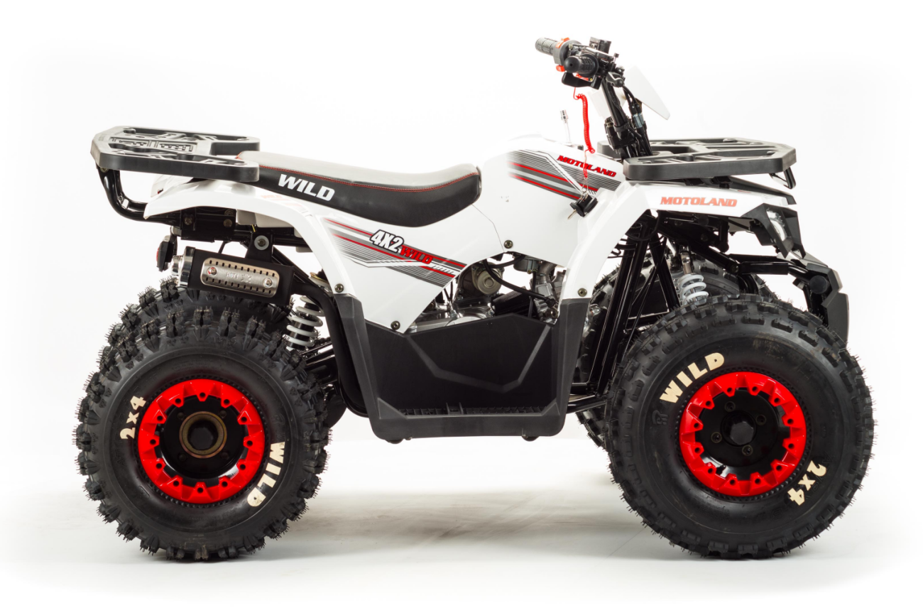 Квадроцикл MOTOLAND Wild Basic 125 Квадроцикл MOTOLAND Wild Basic 125