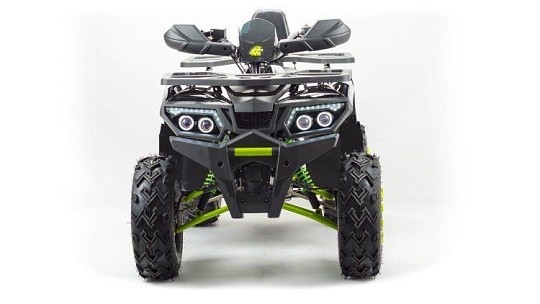 Квадроцикл MOTOLAND Wild Track LUX 200