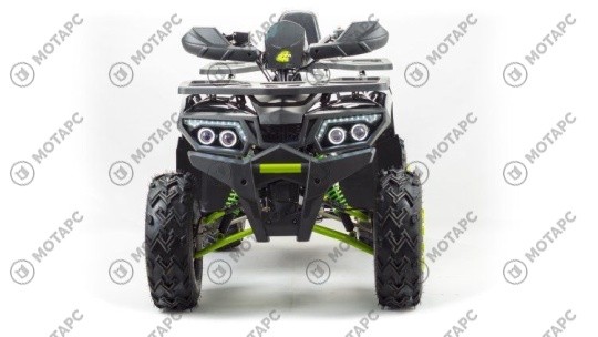 Квадроцикл MOTOLAND Wild Track LUX 200