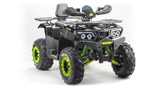 Квадроцикл MOTOLAND Wild Track LUX 200