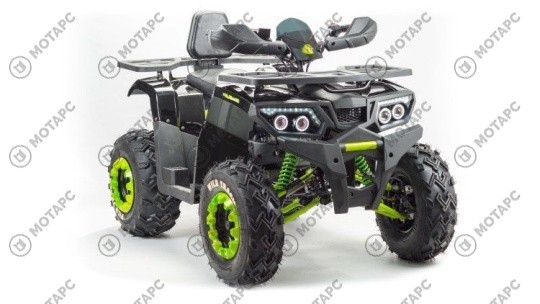 Квадроцикл MOTOLAND Wild Track LUX 200