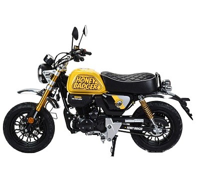 Питбайк MOTOLAND Monkey 150