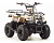 Квадроцикл MOTOLAND Rider 110