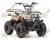 Квадроцикл MOTOLAND Rider 110