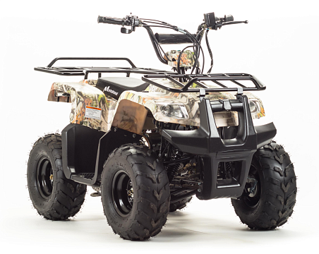 Квадроцикл MOTOLAND Rider 110