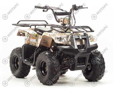 Квадроцикл MOTOLAND Rider 110