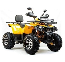 Квадроцикл MOTOLAND Wild Track X 200