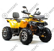 Квадроцикл MOTOLAND Wild Track X 200