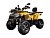 Квадроцикл AVANTIS H250 BIG NEW Premium