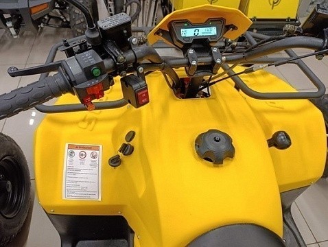 Квадроцикл IRBIS ATV 200 Lux