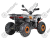 Квадроцикл REGULMOTO Thunder Basic 125