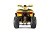 Квадроцикл WELS Thunder Trail 200 Квадроцикл WELS Thunder Trail 200