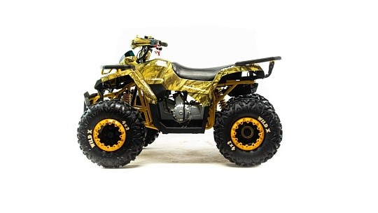 Квадроцикл MOTOLAND Wild X PRO A 125