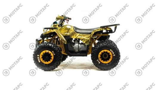 Квадроцикл MOTOLAND Wild X PRO A 125
