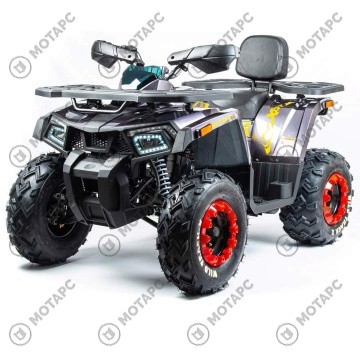 Квадроцикл MOTOLAND Wild Track X PRO 200