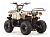 Квадроцикл MOTOLAND Rider 110