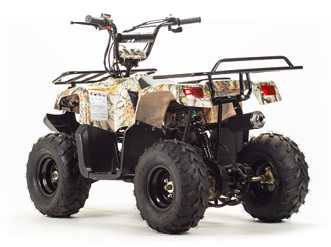 Квадроцикл MOTOLAND Rider 110