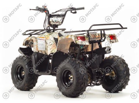 Квадроцикл MOTOLAND Rider 110