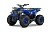 Квадроцикл WELS Thunder Trail 125