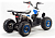 Квадроцикл MOTOLAND Eagle 110