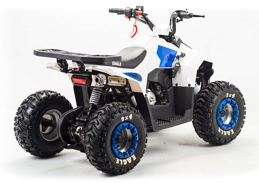 Квадроцикл MOTOLAND Eagle 110