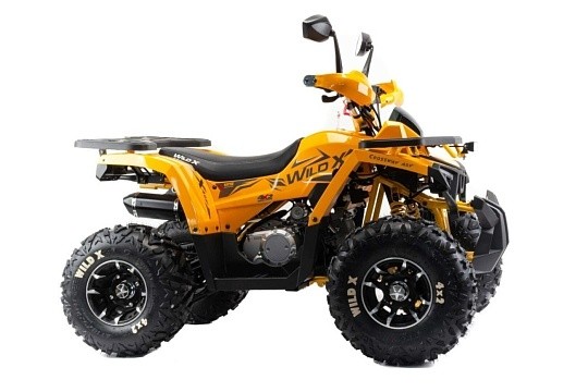 Квадроцикл MOTOLAND Wild X PRO 125