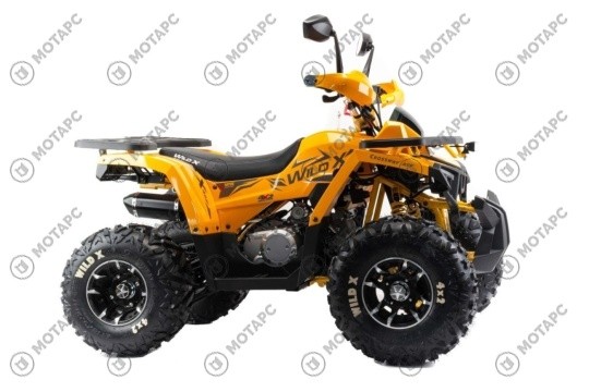 Квадроцикл MOTOLAND Wild X PRO 125