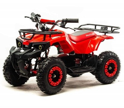 Квадроцикл (игрушка) MOTOLAND E008 800Вт