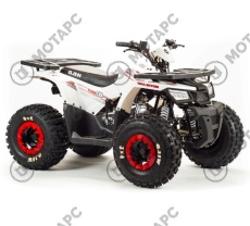 Квадроцикл MOTOLAND Wild 125