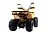 Квадроцикл MOTOLAND Wild X PRO 125