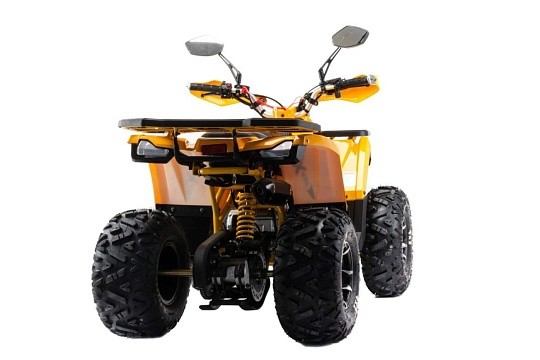 Квадроцикл MOTOLAND Wild X PRO 125