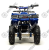 Квадроцикл (игрушка) MOTOLAND E008 800Вт