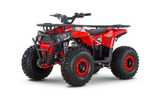 Квадроцикл WELS Thunder Trail 125