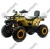Квадроцикл MOTOLAND Wild Track X 200