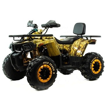 Квадроцикл MOTOLAND Wild Track X 200