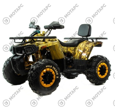 Квадроцикл MOTOLAND Wild Track X 200
