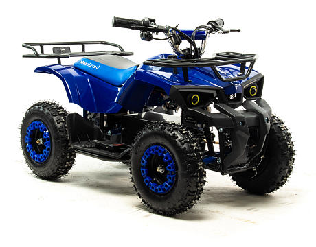 Квадроцикл (игрушка) MOTOLAND E009 1000Вт