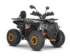 Квадроцикл ATV Dazzle 125 C1