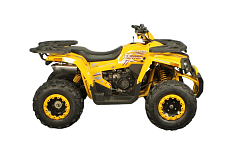 Квадроцикл AVANTIS Hunter 200 Big Basic