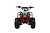 Квадроцикл WELS Thunder EVO 110 M