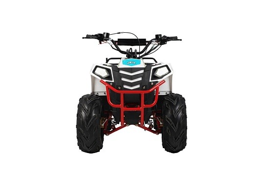 Квадроцикл WELS Thunder EVO 110 M
