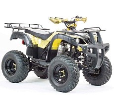 Квадроцикл MOTOLAND Adventure 250