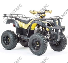 Квадроцикл MOTOLAND Adventure 250