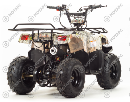 Квадроцикл MOTOLAND Rider 110