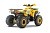 Квадроцикл WELS Thunder Trail 200 Квадроцикл WELS Thunder Trail 200