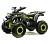 Квадроцикл MOTOLAND Wild X 125