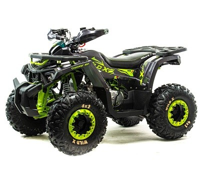 Квадроцикл MOTOLAND Wild X 125
